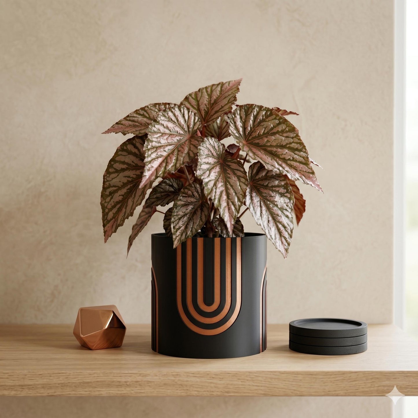Arc Planter