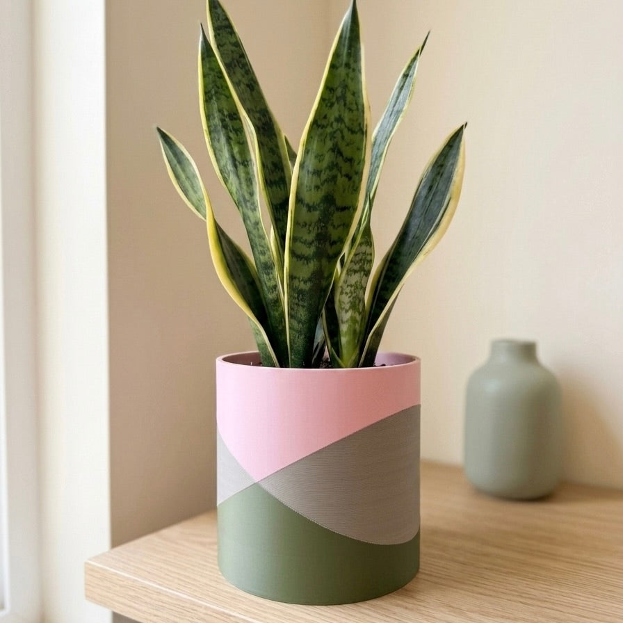 Every Color Has a Place: How We Choose the Palette at Zadnerd Designs