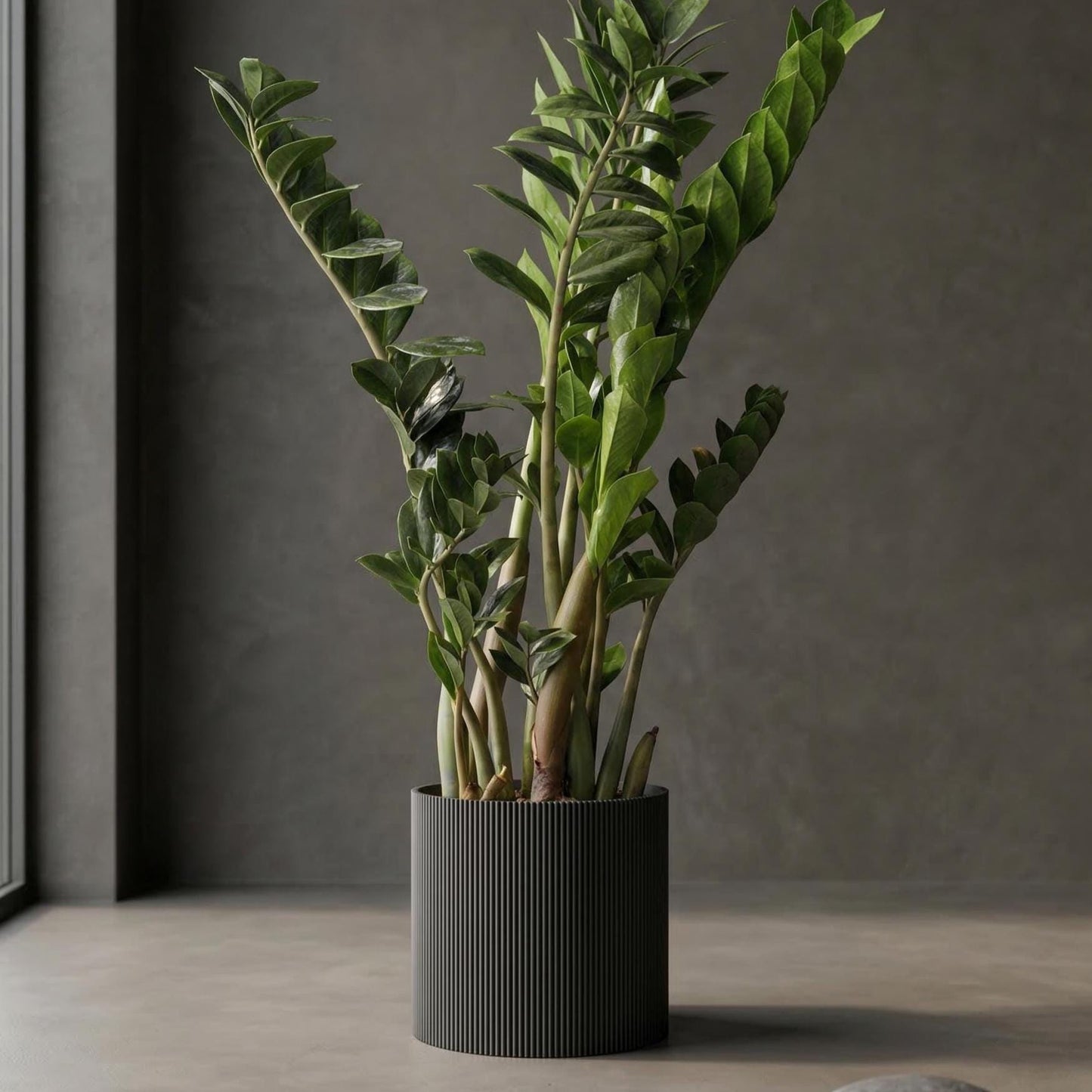 Palo Planter