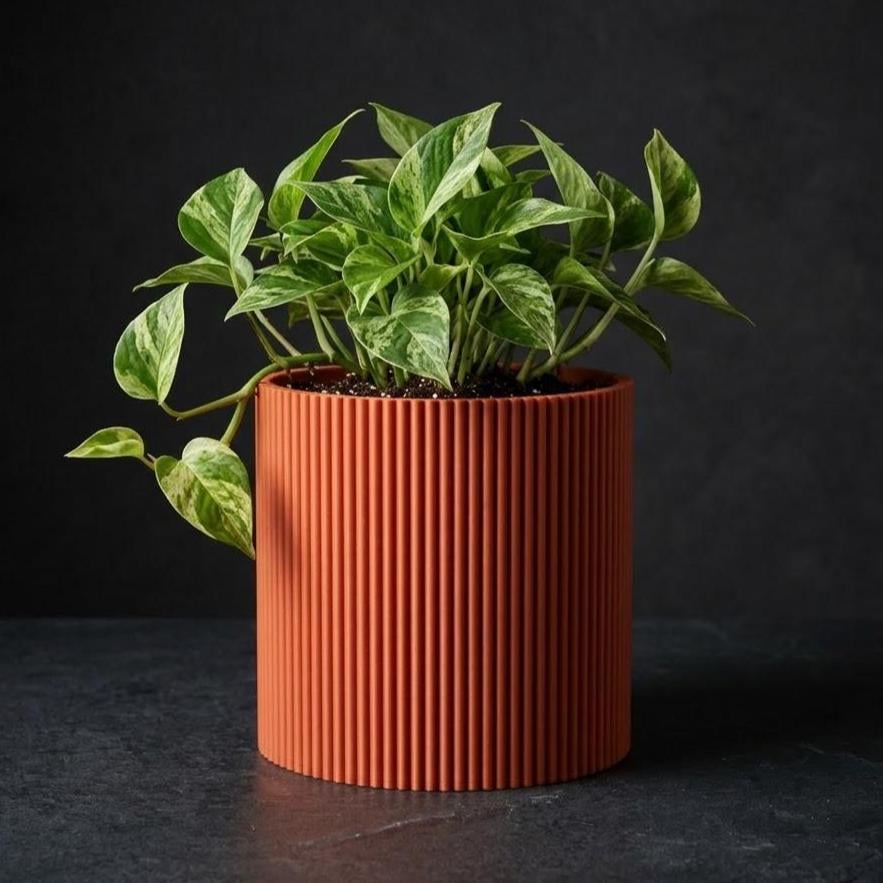 Palo Planter