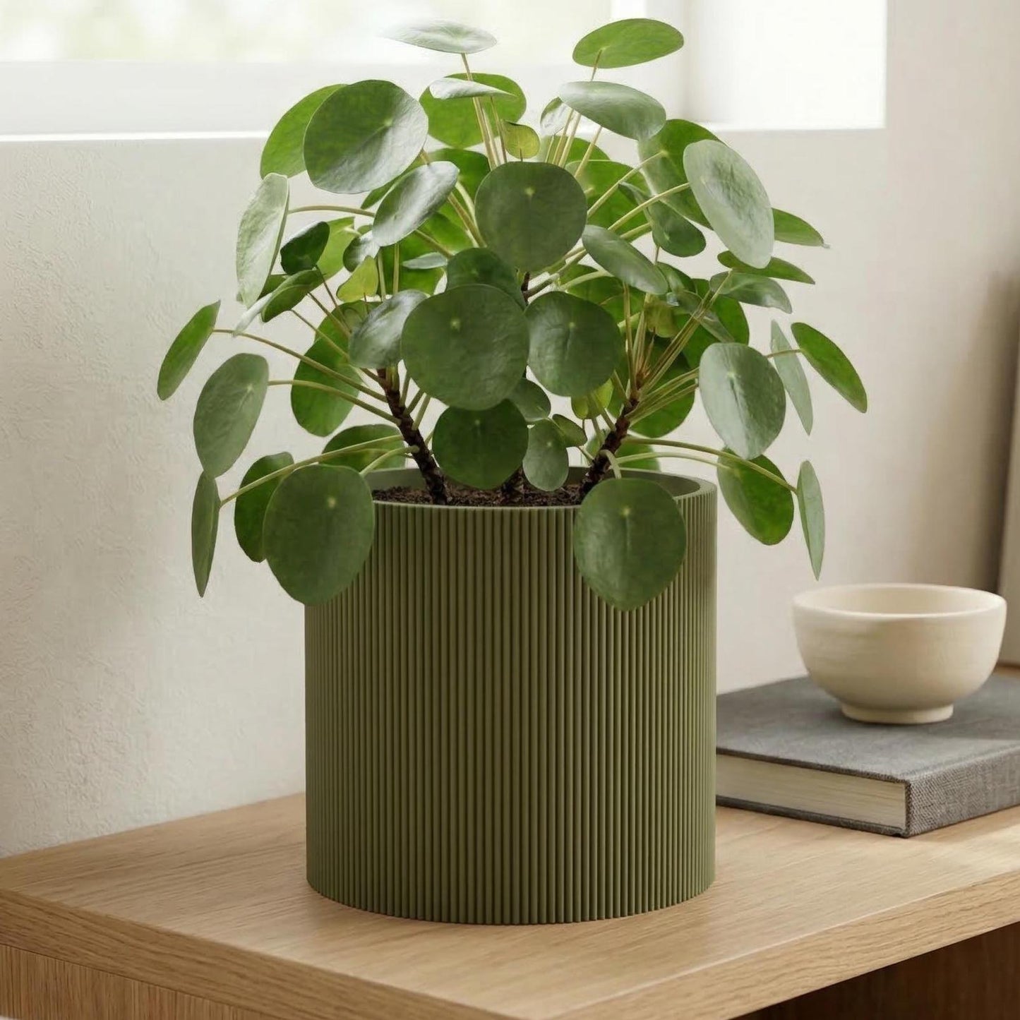 Palo Planter