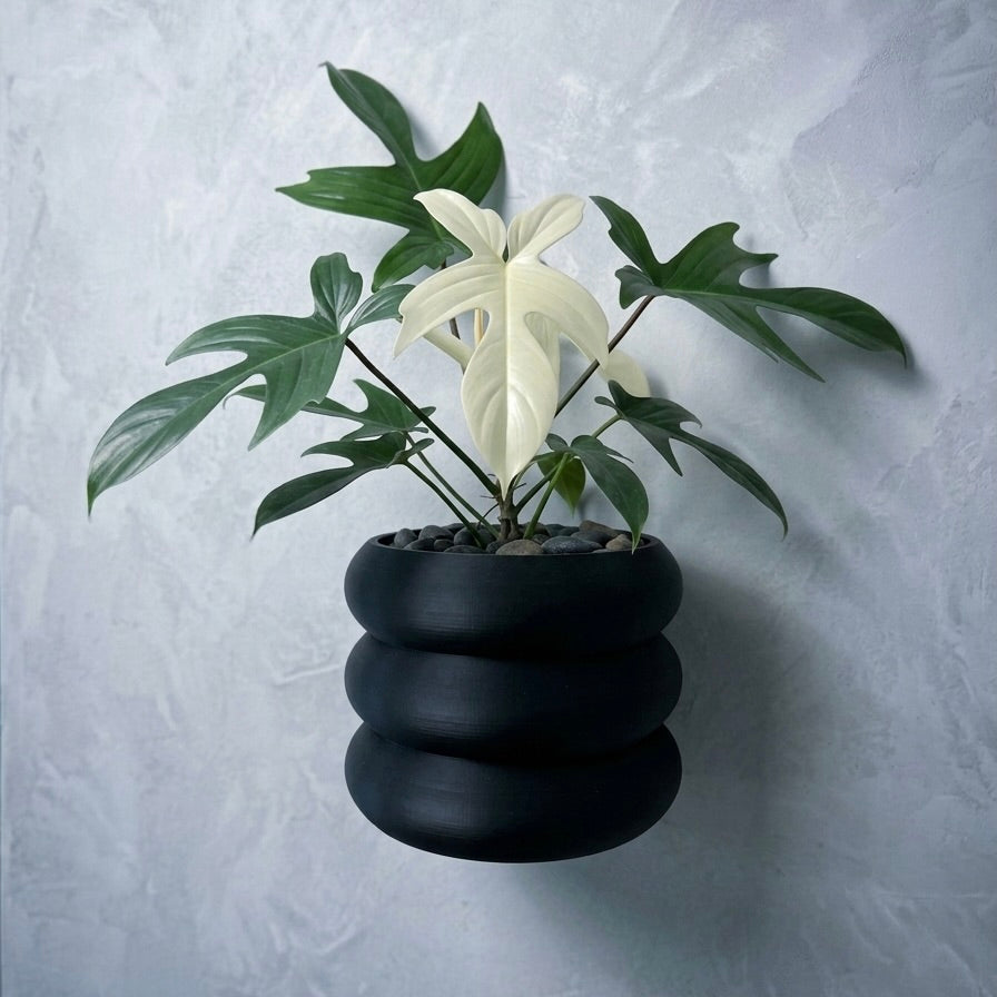 3-Bubble Wall Planter