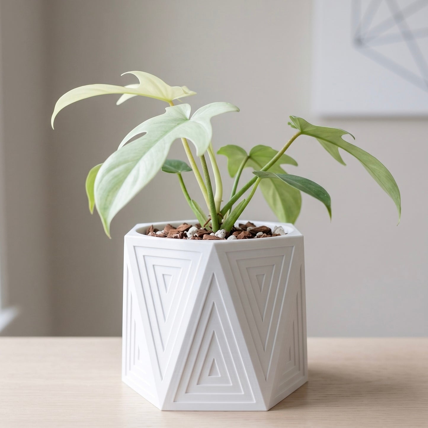 Hexform Echo Planter