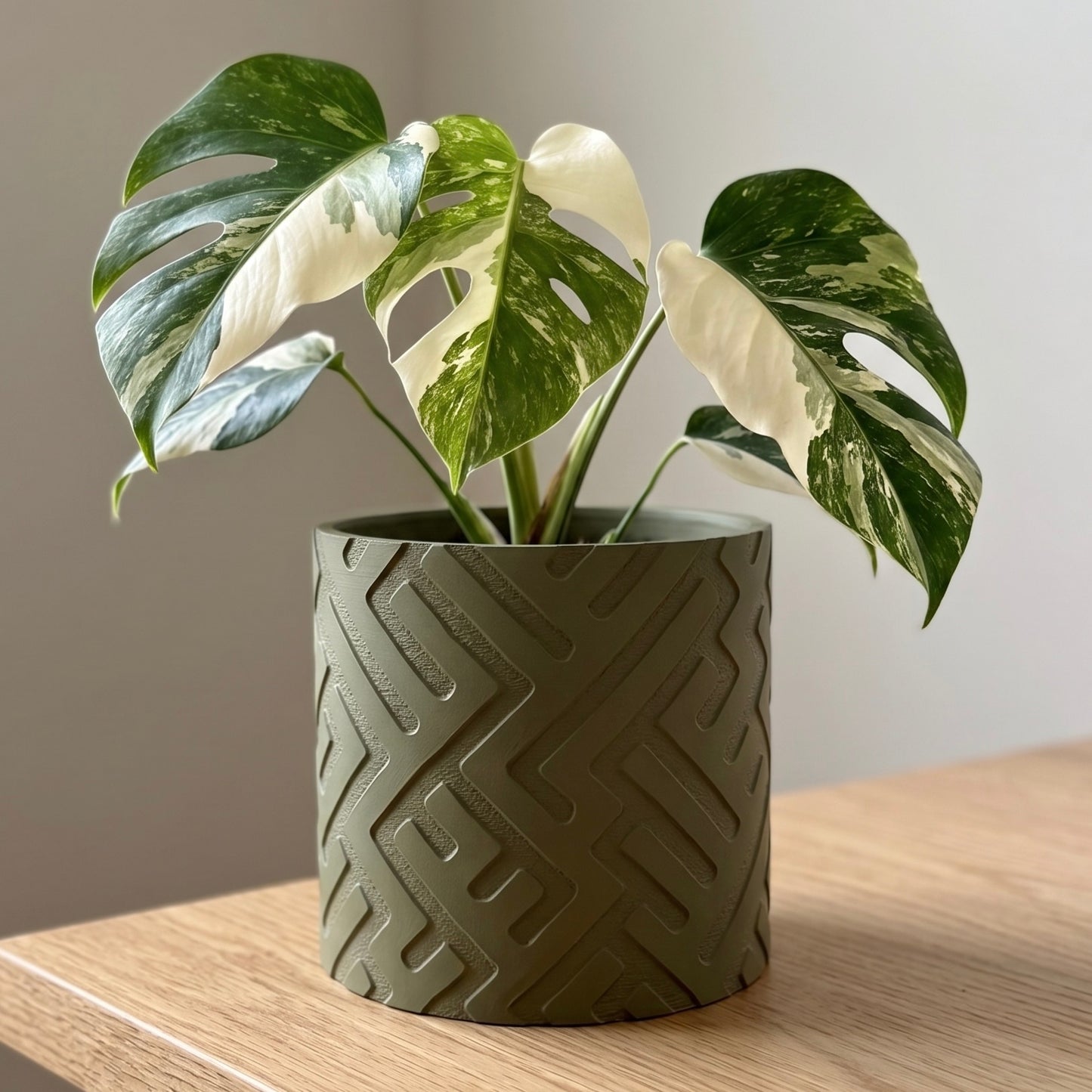 Trace Planter - Single Color