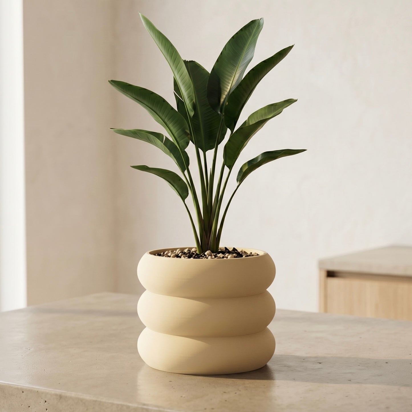 3-Bubble Planter