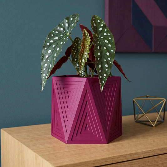 Hexform Echo Planter