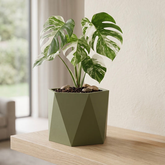 Hexform Planter