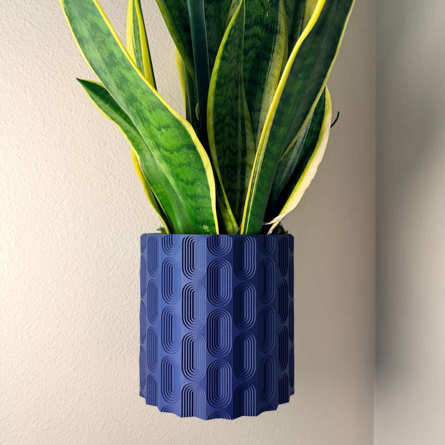 Hyperloop Wall Planter