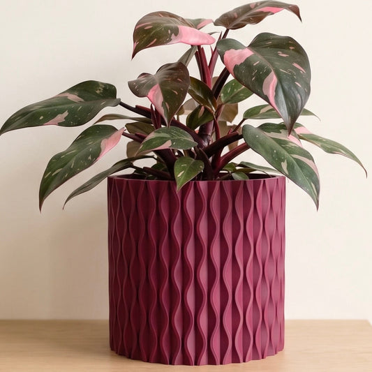 Potted plant with wavy patterned purple pot on a neutral background
