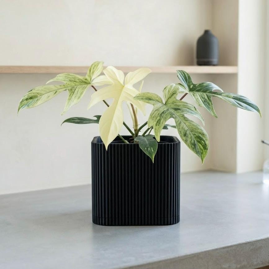 Palo Square Planter